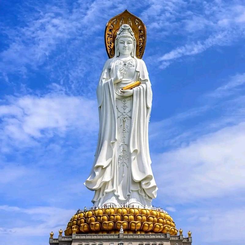 小萝卜