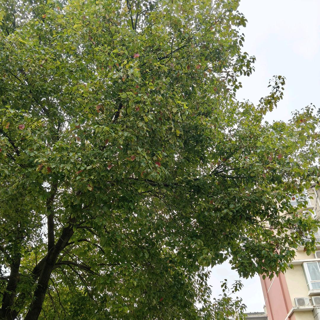 你回家了🎀🍂