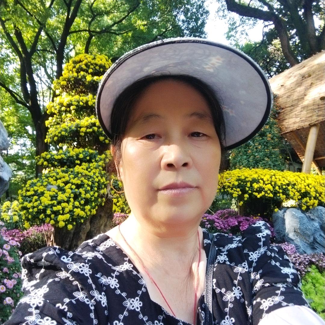 金小霞