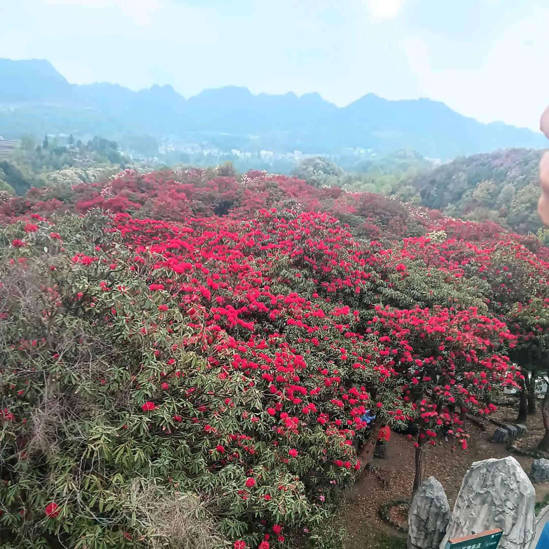 健健康康就美好