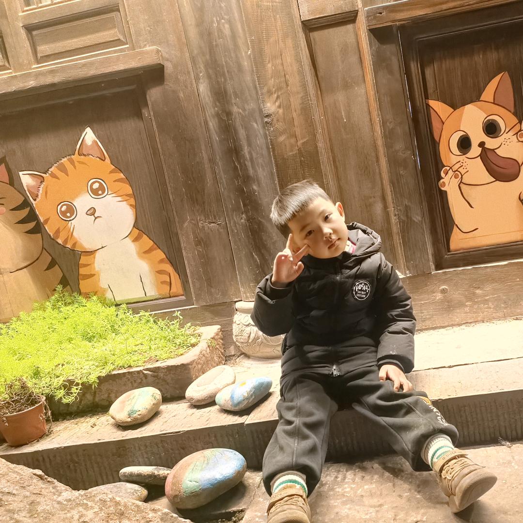 丁丁猫🐱🐱🐱🐱