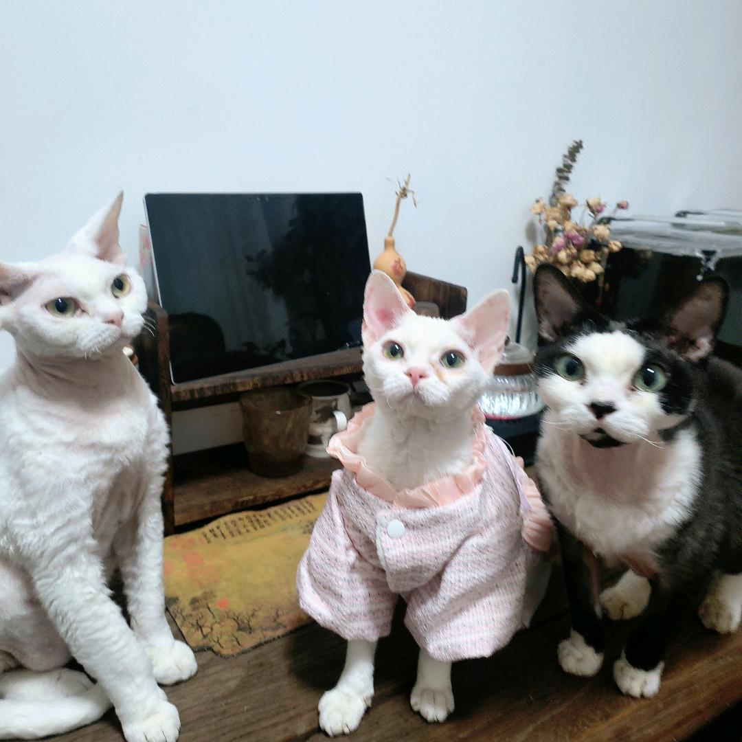 暖暖