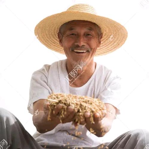 快乐的中年大叔