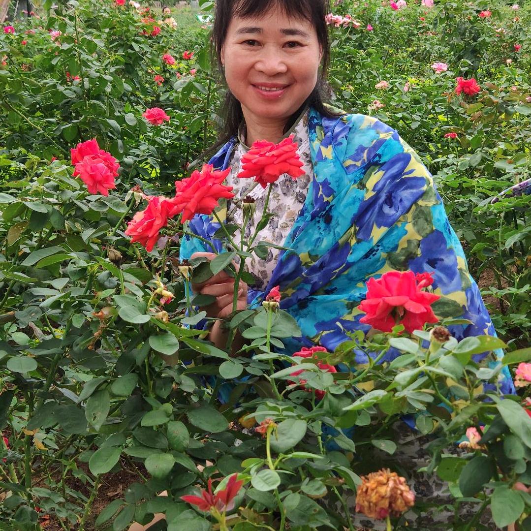 谢述珍（舞美人生）