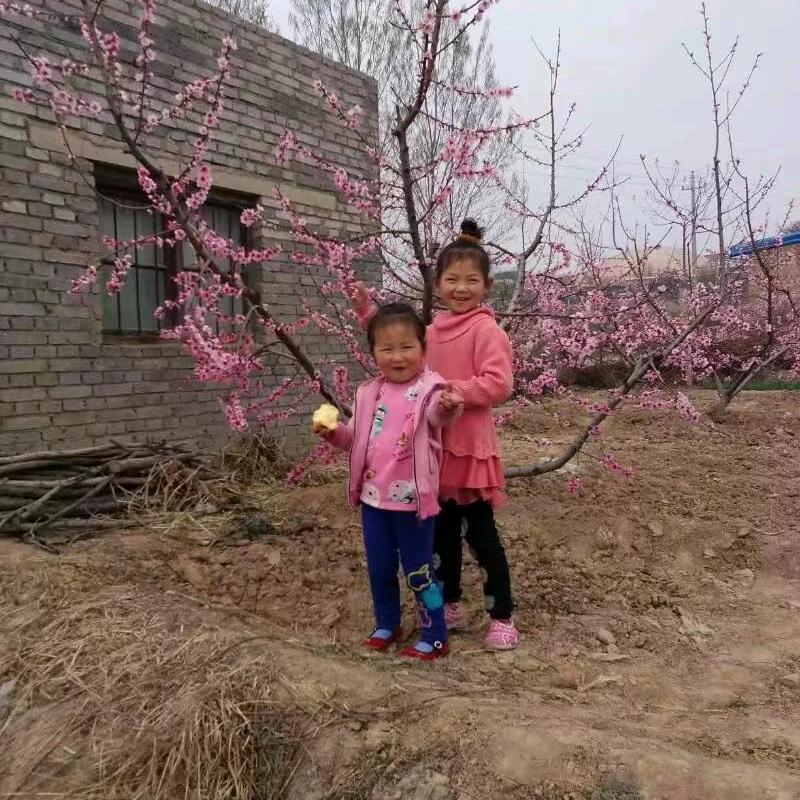 暴富暴美好运连连
