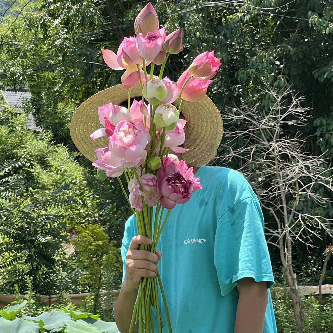 尘寰轮转