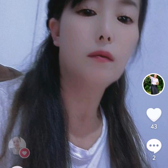 清风如菊