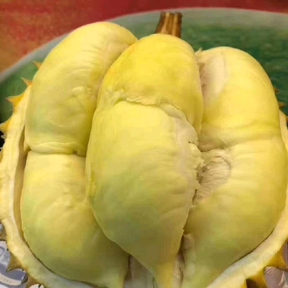 四季鲜榴莲专卖店