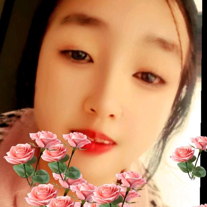 宇磊
