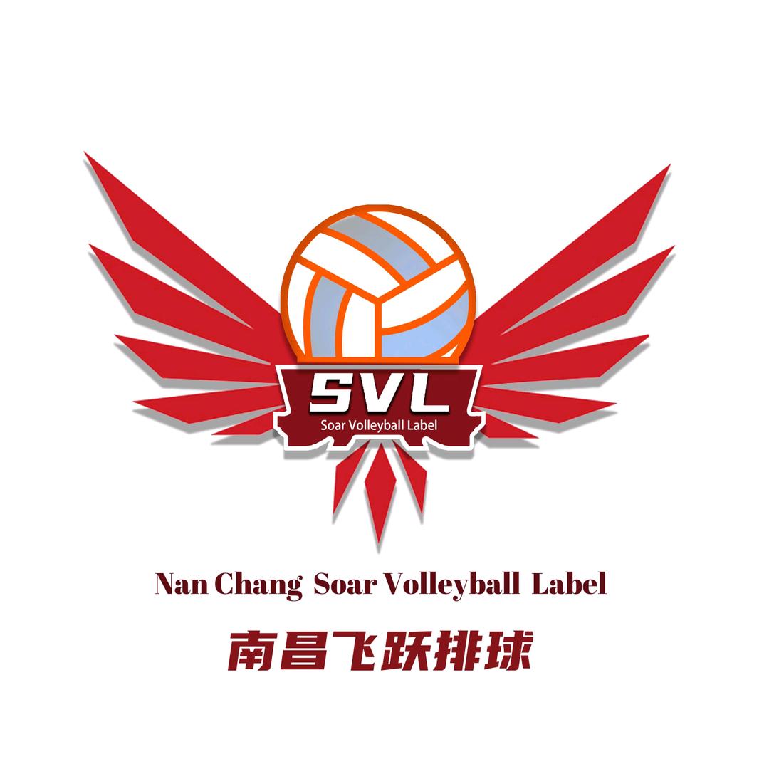 SVL飞跃🏐️