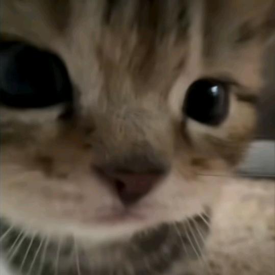 笙