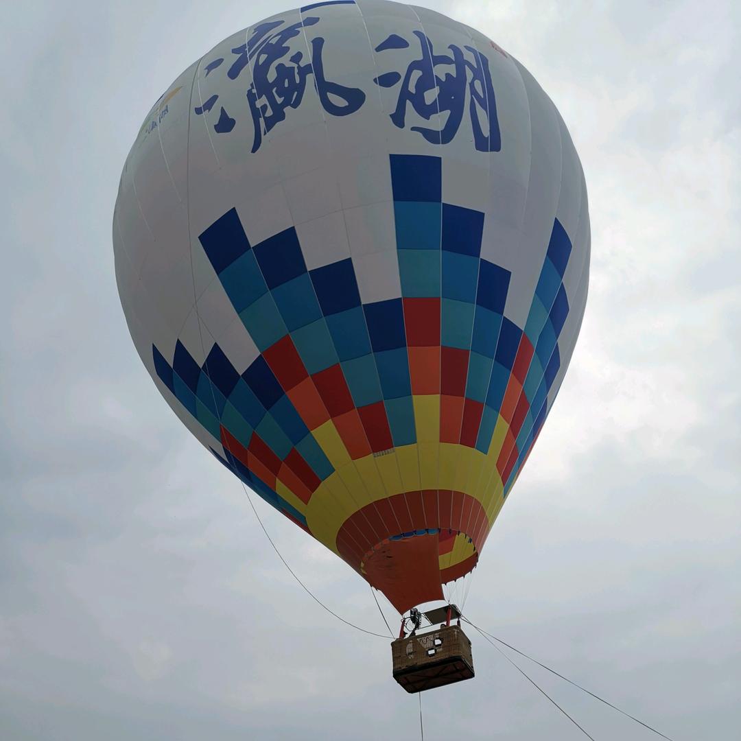 鹰的脱变（新人互关互赞粉粉丝一千万冲）