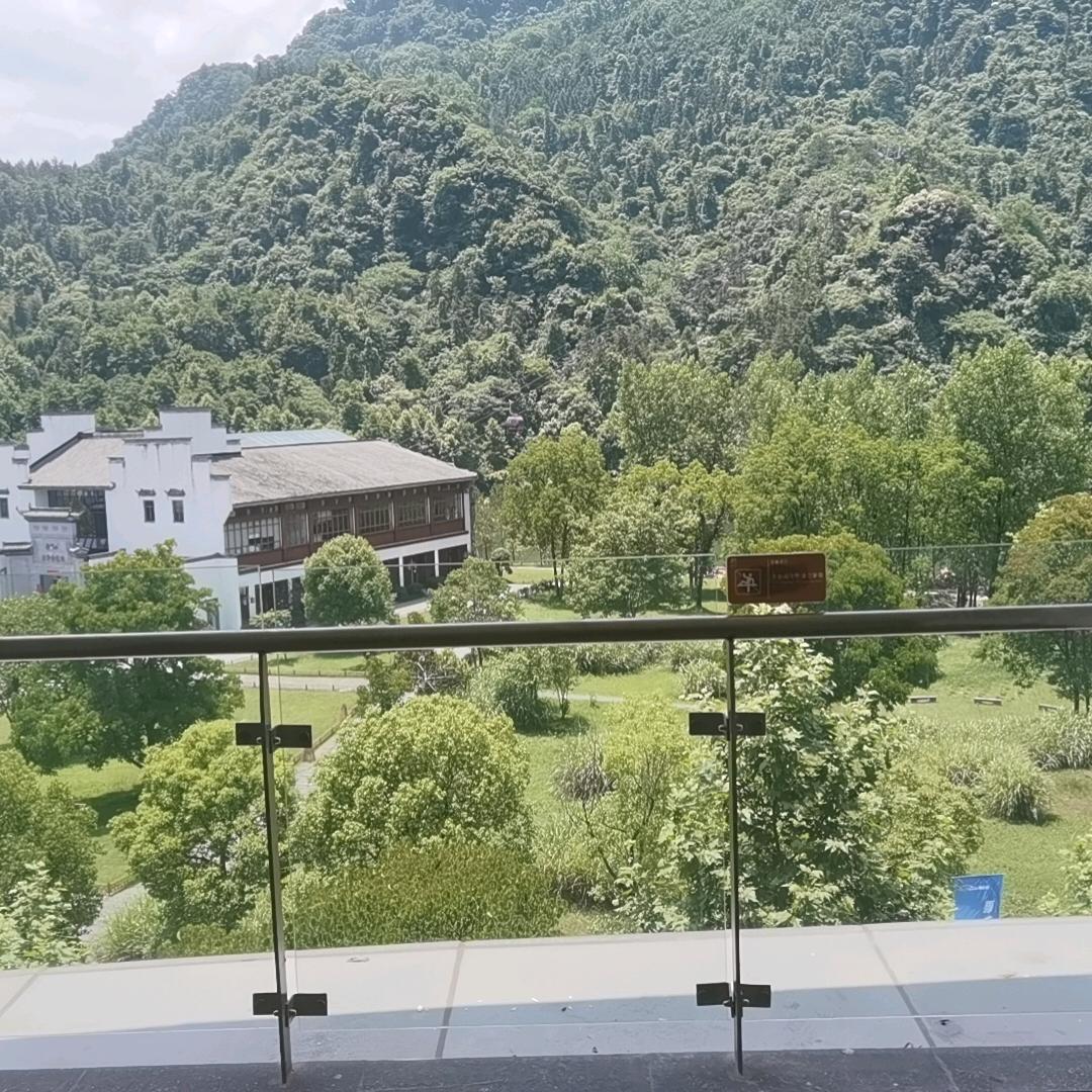 心愿🦋