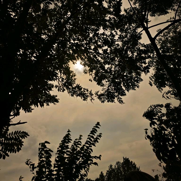尾灯_