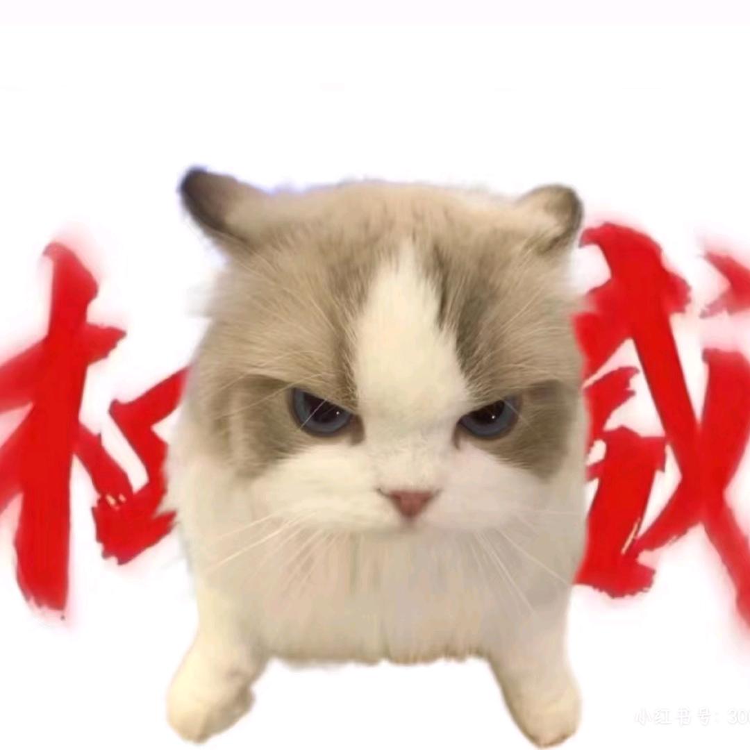 莫言墨羽