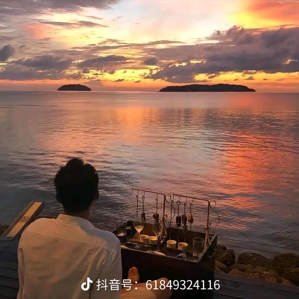 黑夜下的猫头鹰