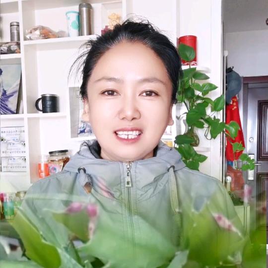 二姐好物