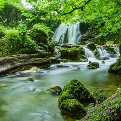 走遍天涯。