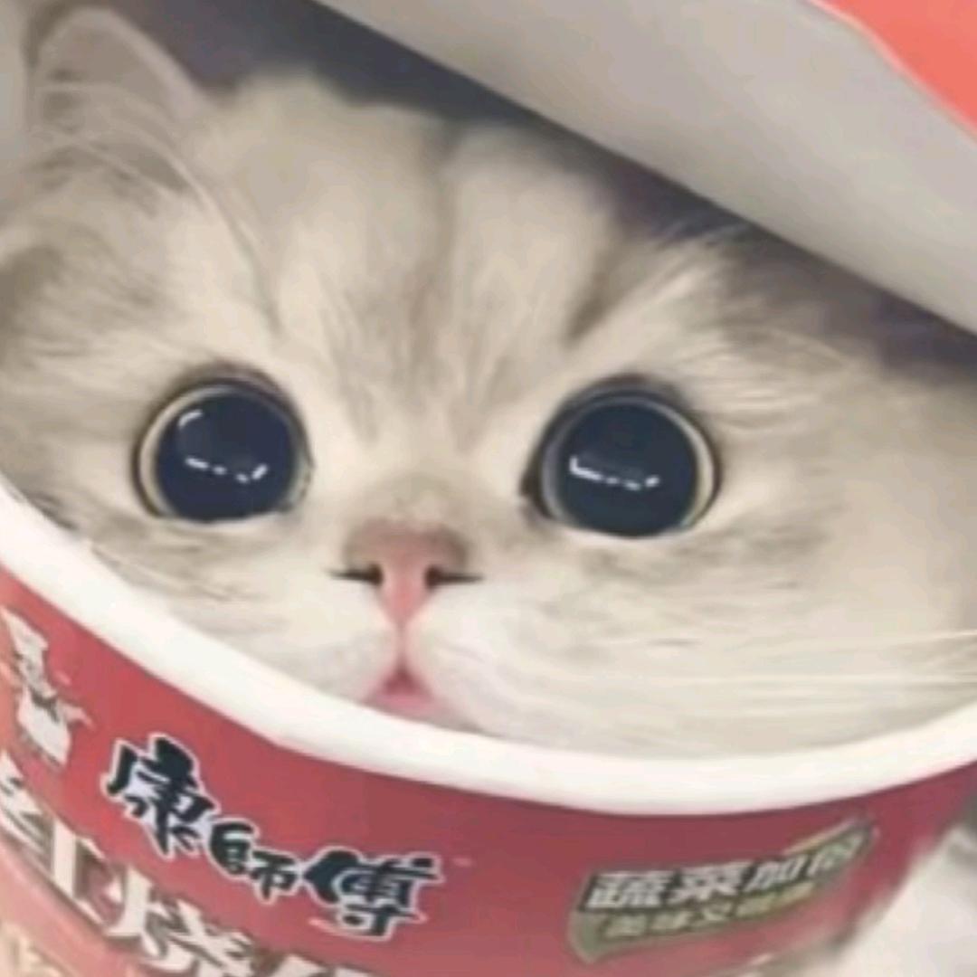 菲律宾大雄
