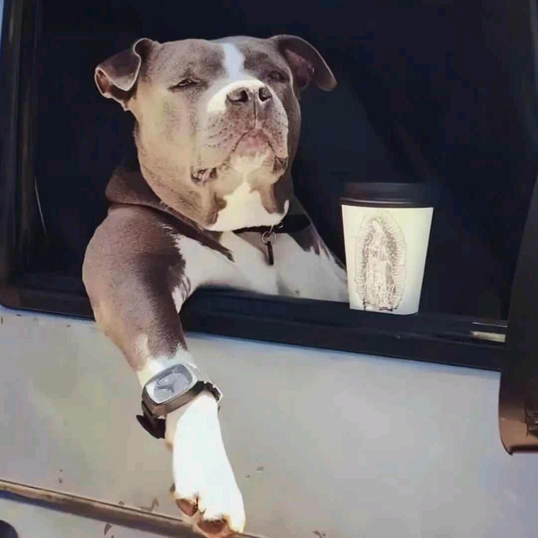 遂宁商务接待-七月