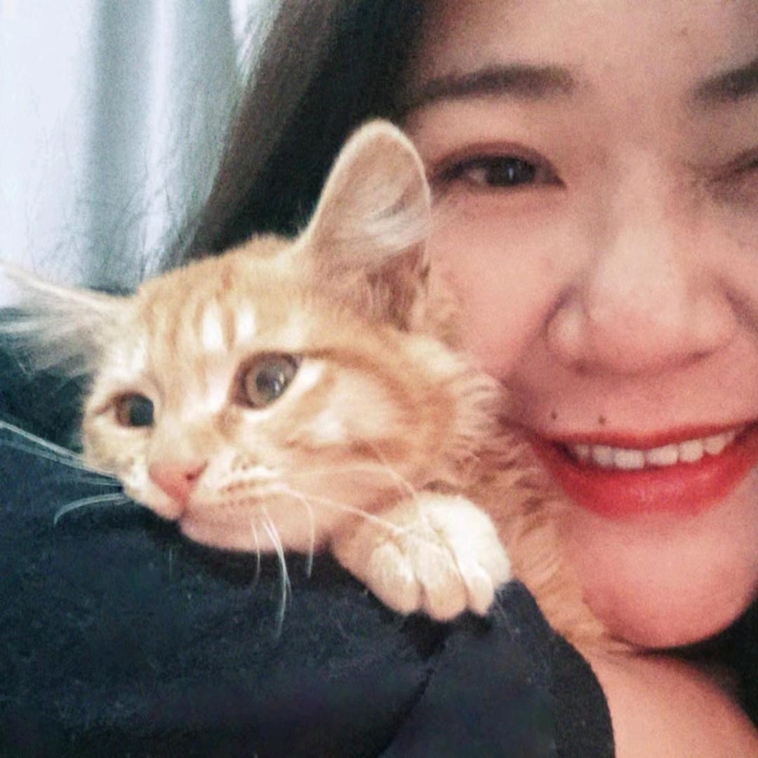 柚子胖胖的摆烂日常