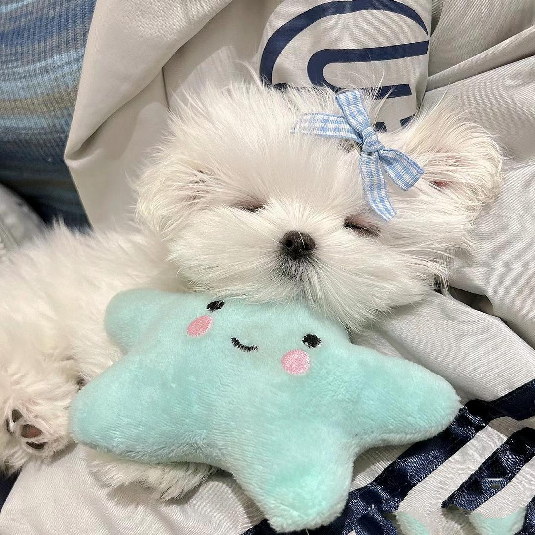 🌈Hi! °□◆喵喵喵丷◇■○★