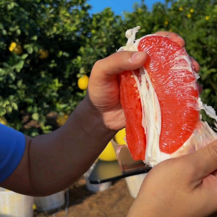永红