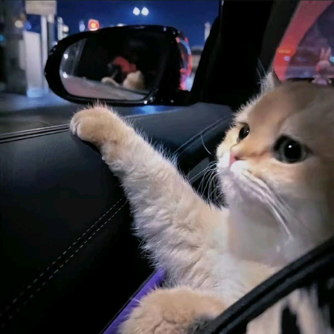 皮蛋solo粥.