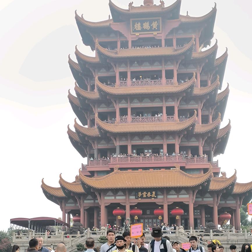 无为⁴²·¹⁹⁵