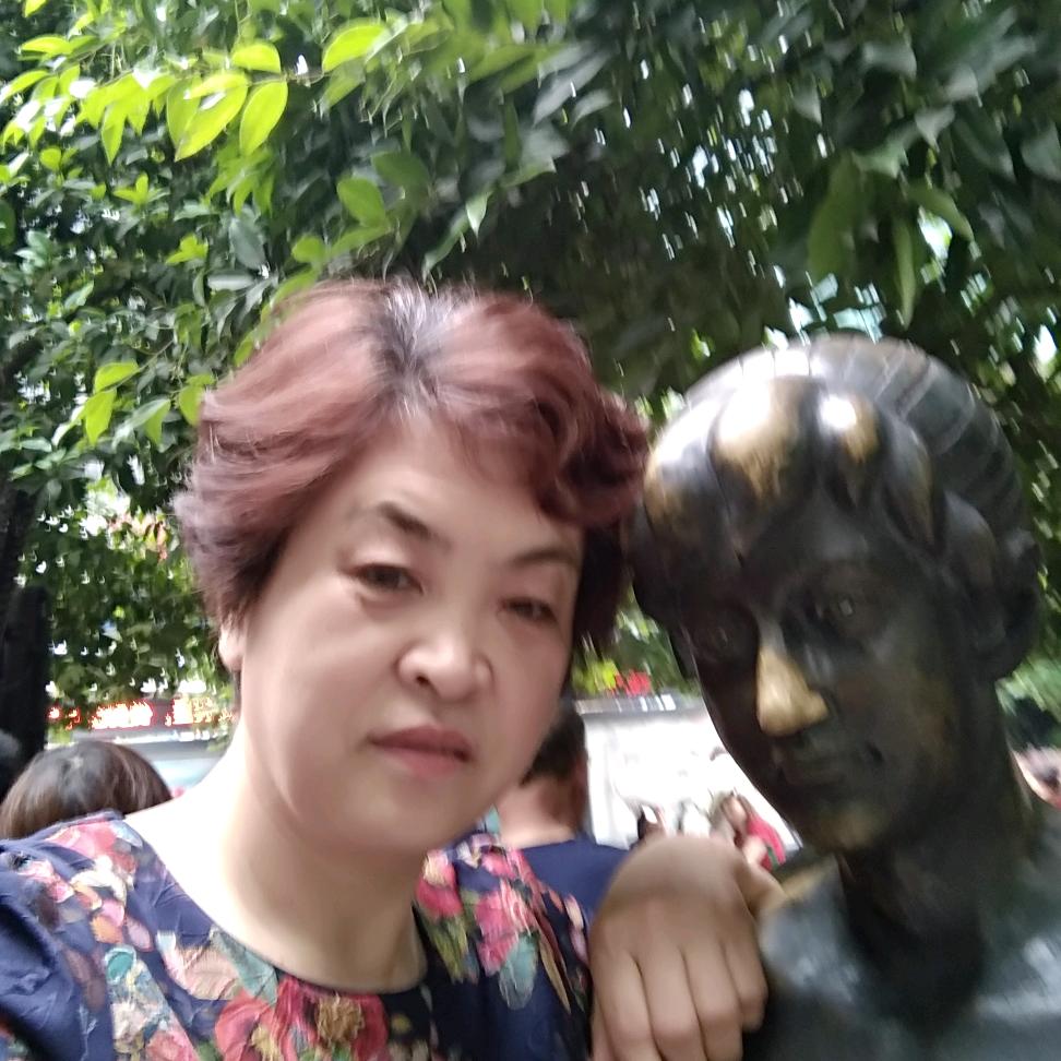 鸿鷹