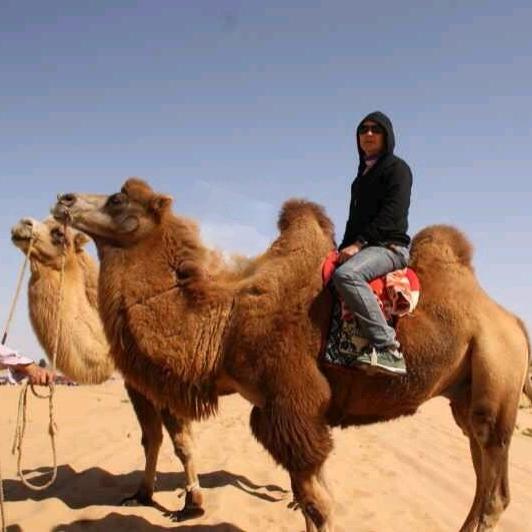 漯河流动烤全羊（老林记）