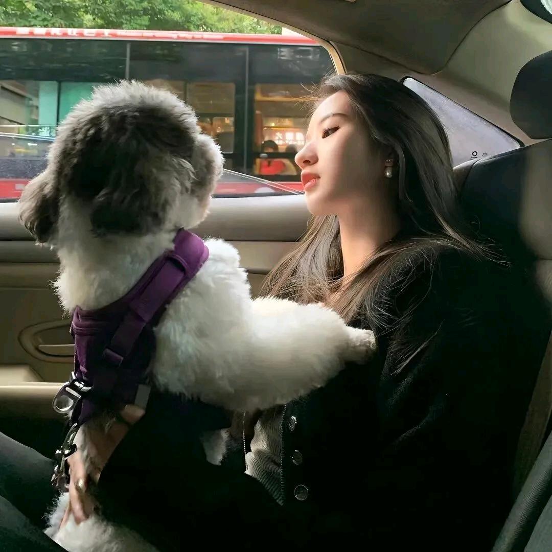 玫瑰🌹