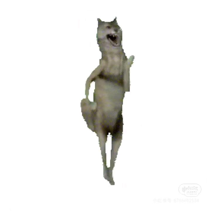 帝帝帝帝帝企鹅