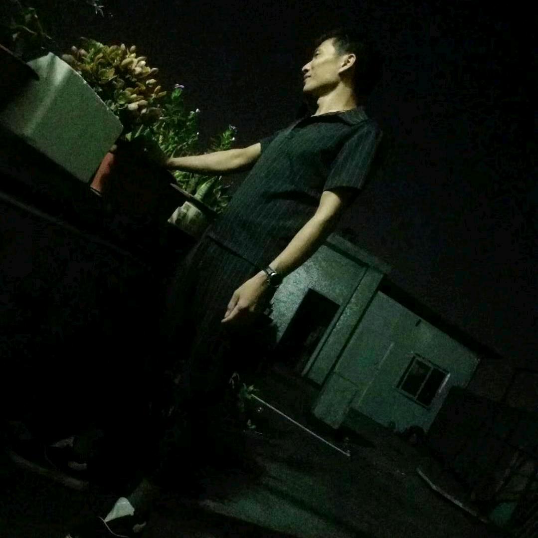 大漠苍狼