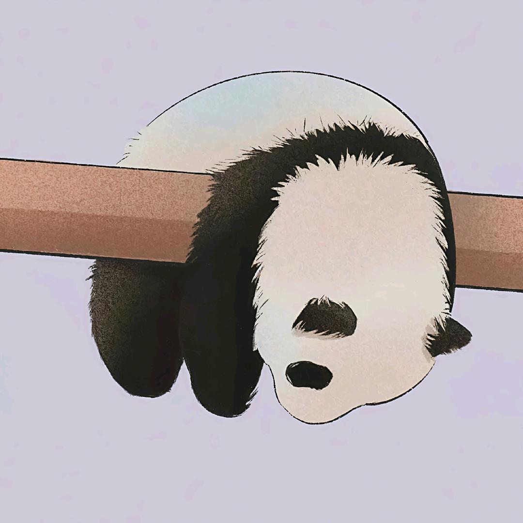 豆汤包
