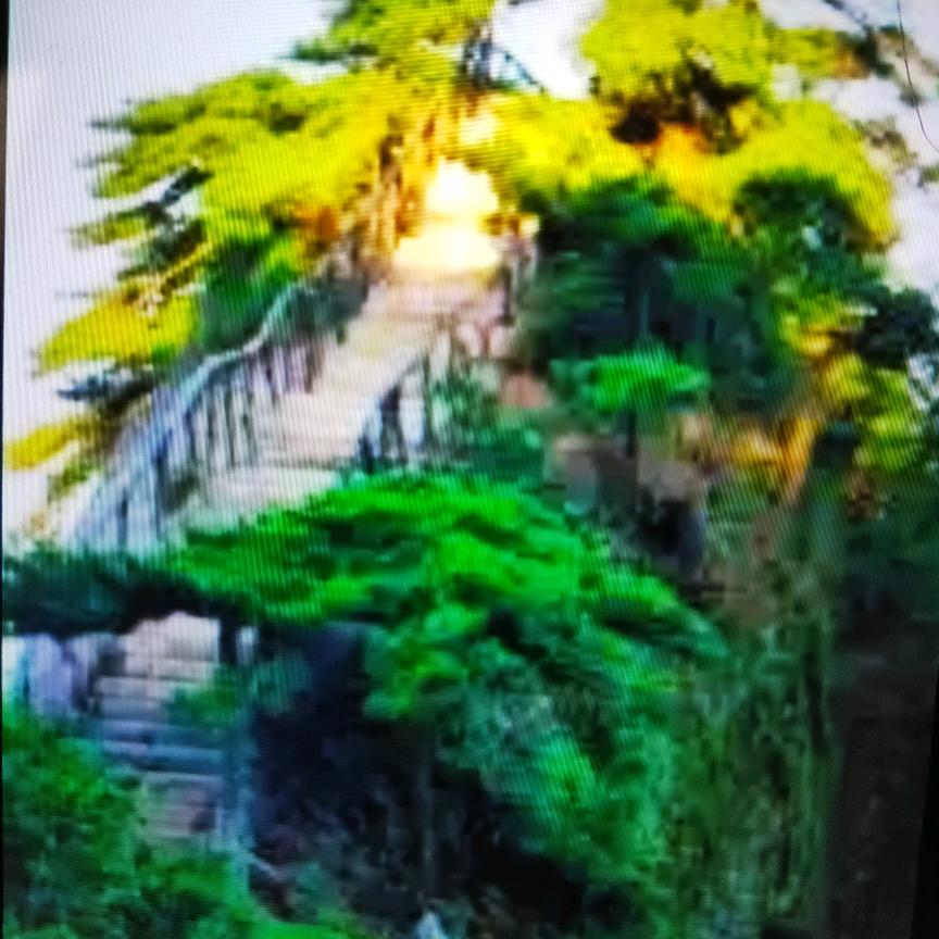 小蘑菇