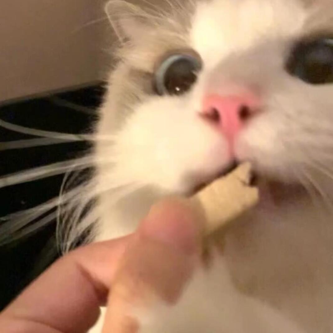 .楚rrrrrrrr.