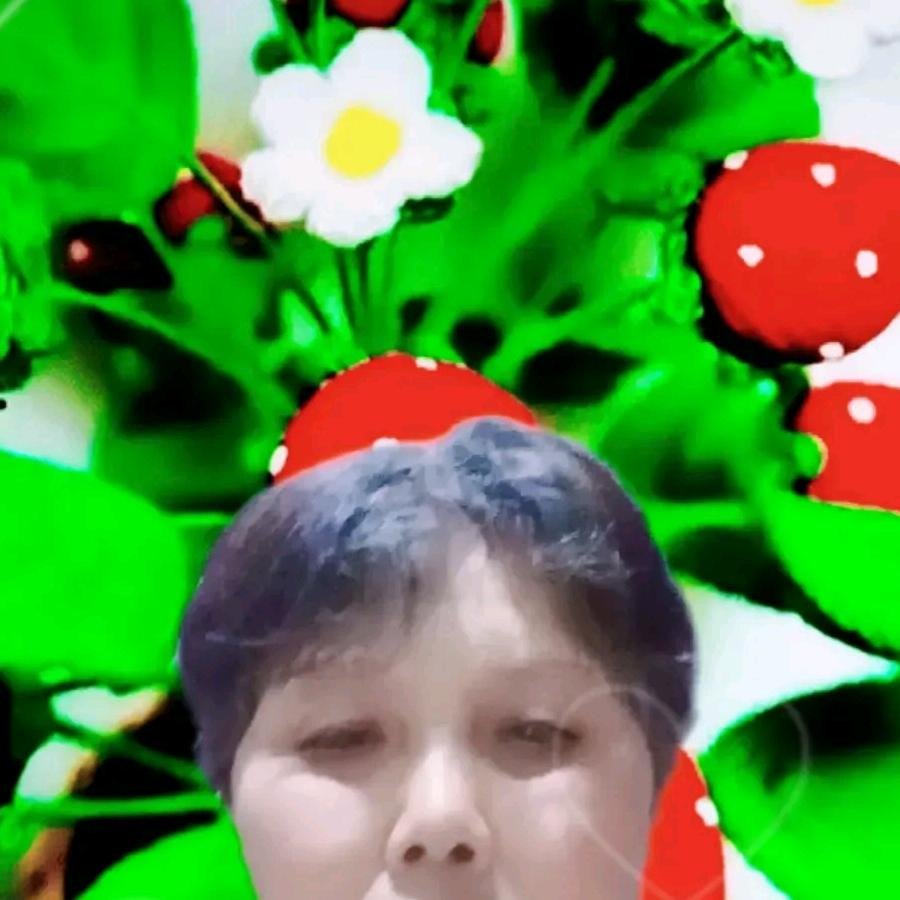 用户7339737422493