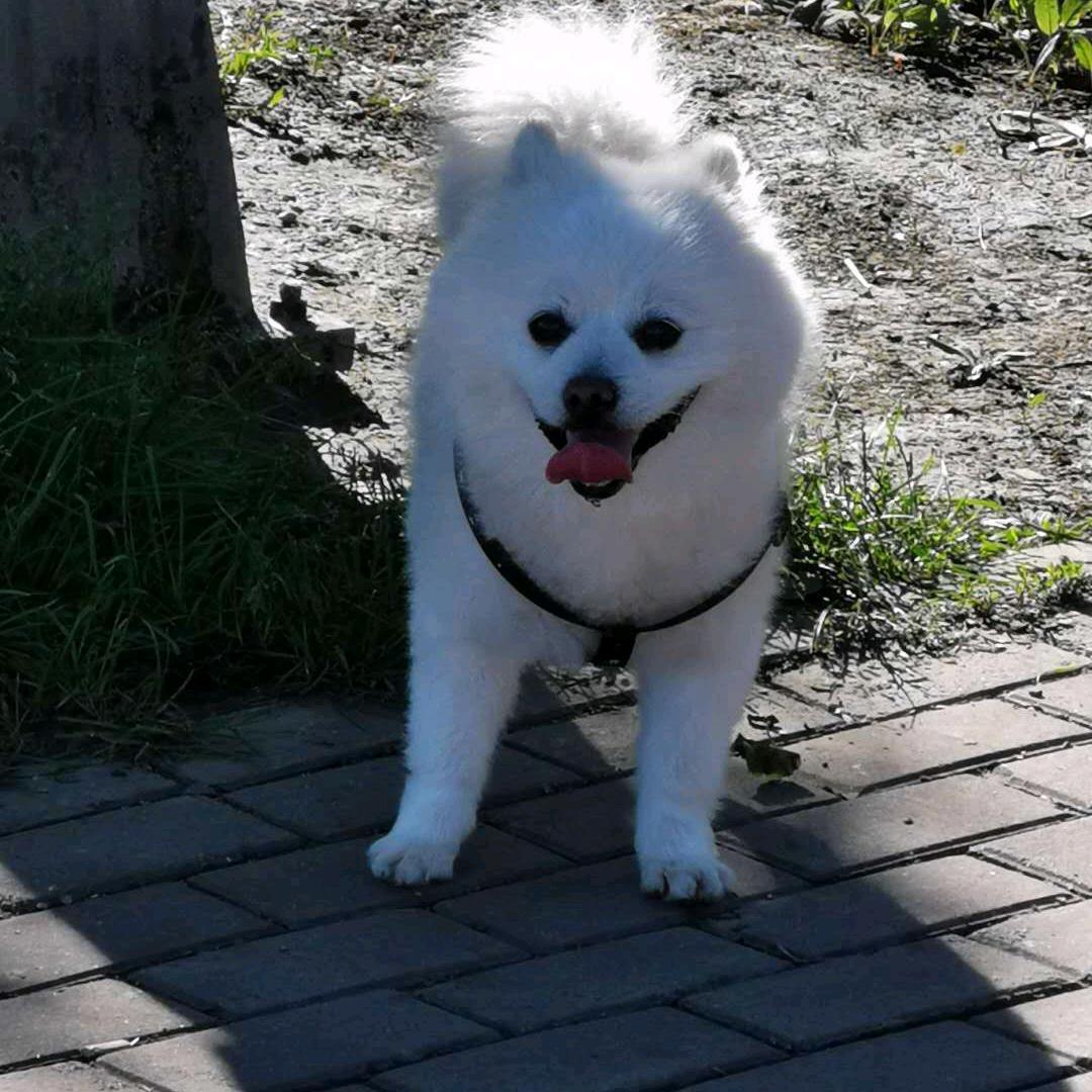 李长斌
