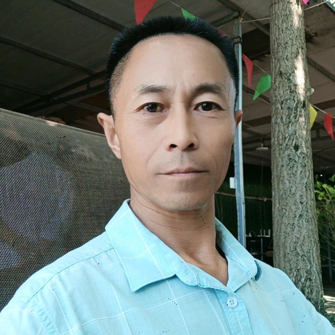 🐔🐛凤食鸾栖🐔🐛