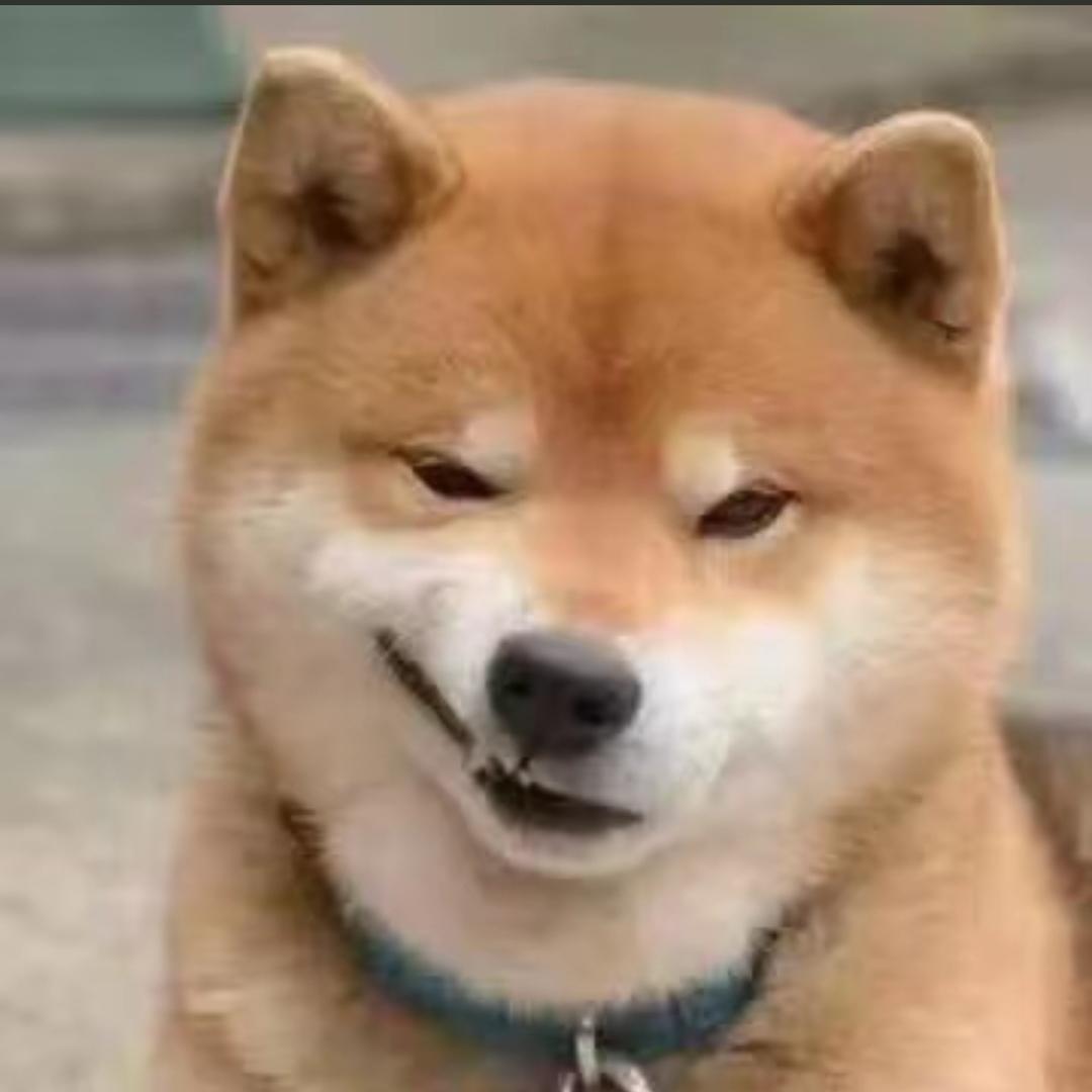 AAA-木材市场皮🥚