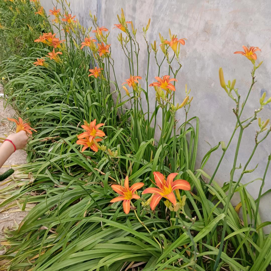 美丽彩霞