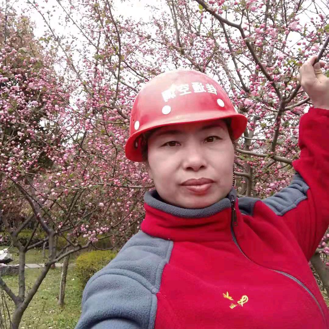 彭七妹