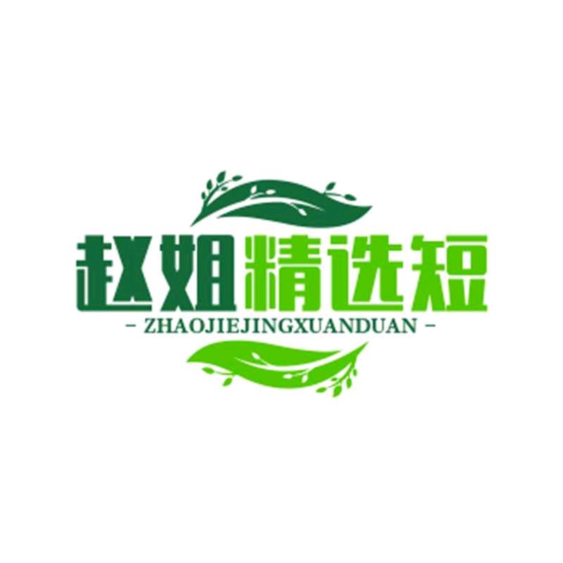 赵姐精选短剧
