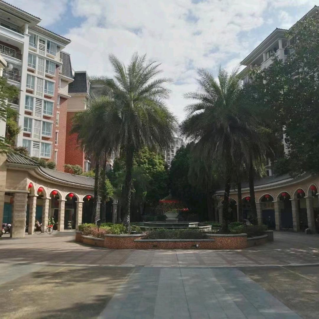 广州杉即贸易-小杨