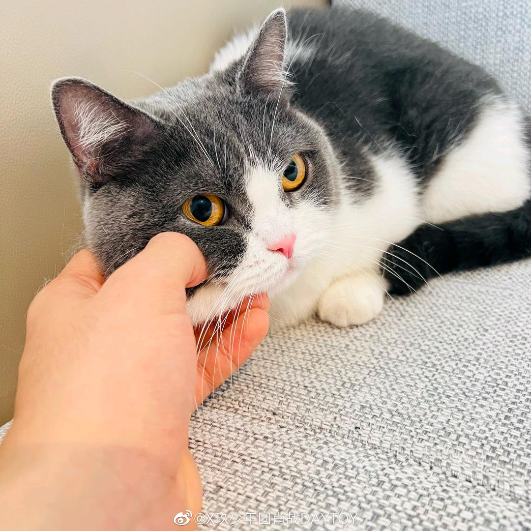 想开一家全世界最好吃的面包店.