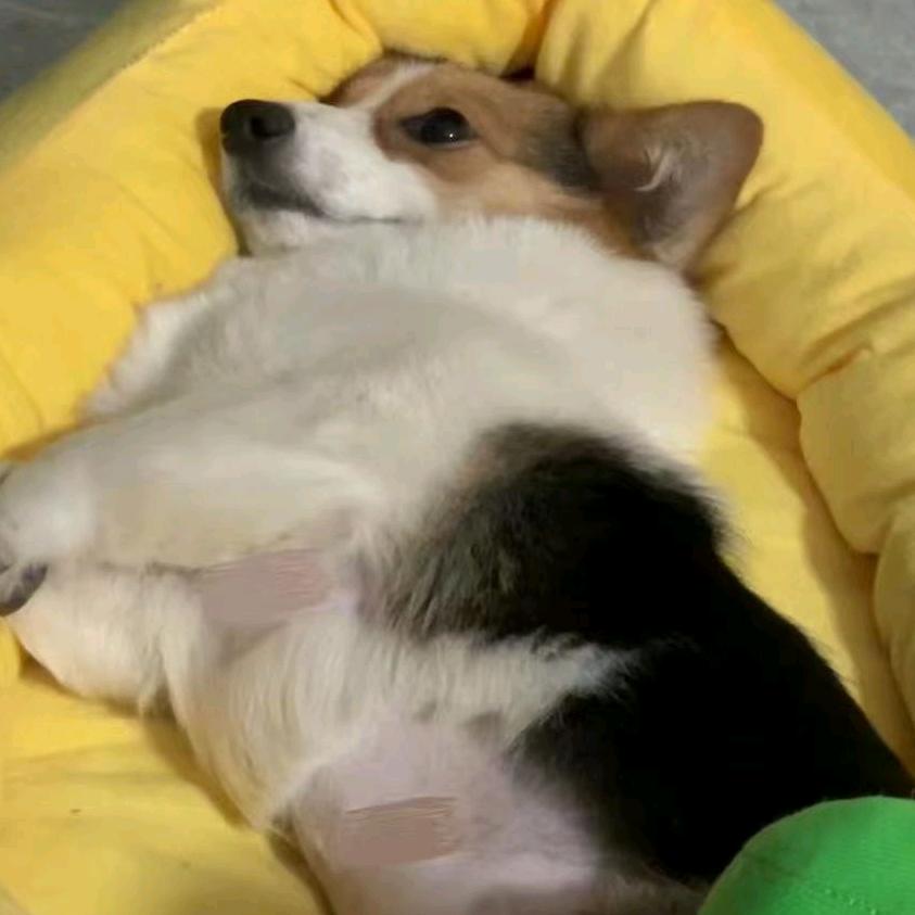 111