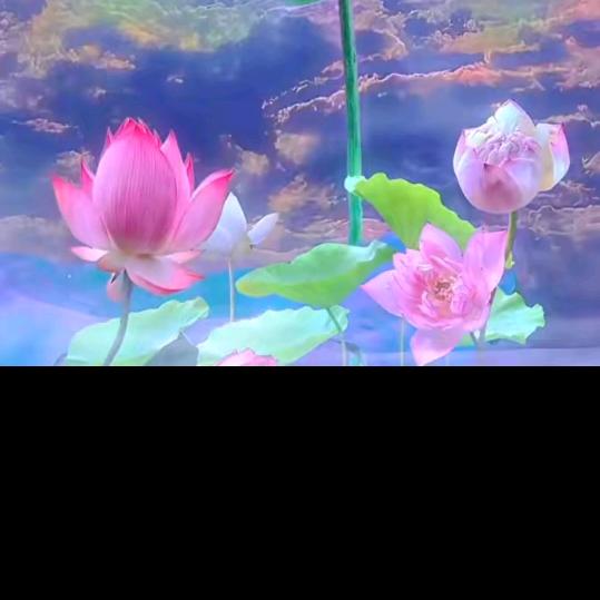 花妹