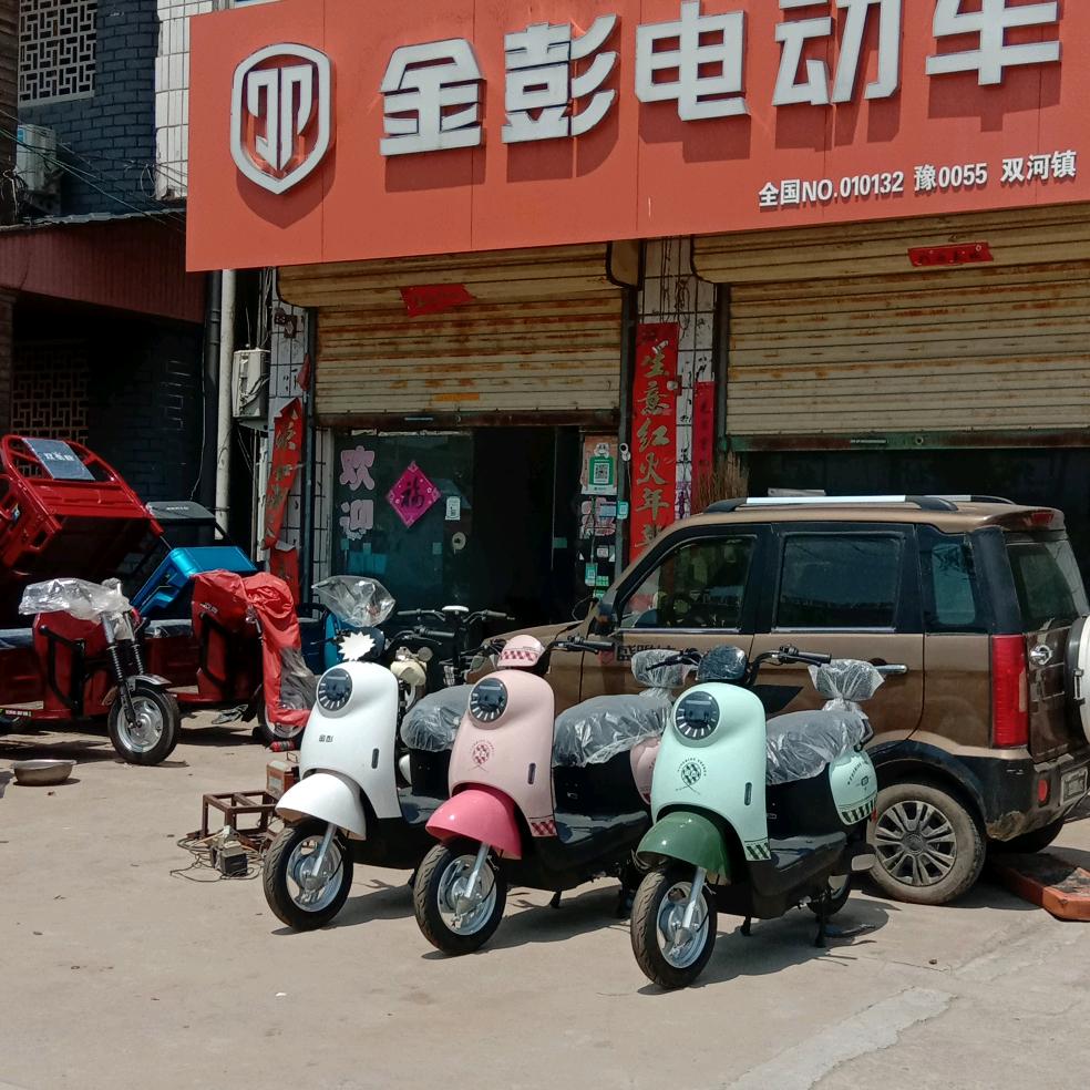 刘岗金彭电动车维修