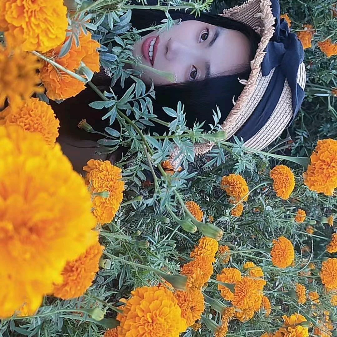 复苏的小汪老师